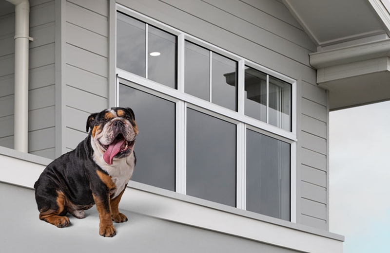 Smarter Frames, Smarter Panes